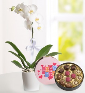 Love Çikolatalı Tek Dal Beyaz Orkide